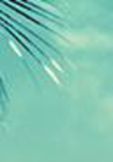 Onomatopoeia Photo