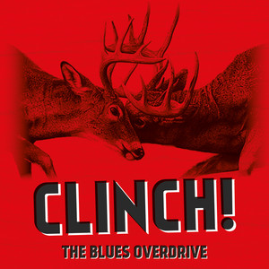 The Blues Overdrive Photo