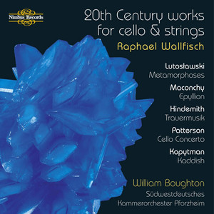 20th Century Works for Cello and Strings album