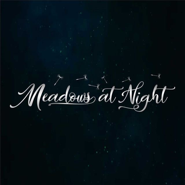 At Night Photo