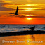 Sunset, Surf and Seagulls Albumcover