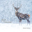 Spirit of Christmas Albumcover