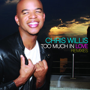 Too Much In Love Remixes cover