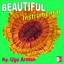 Beautiful (Instrumental) Albumcover