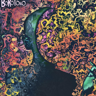 Bokotono Photo