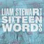 Sixteen Words Albumcover