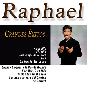 Grandes Éxitos de Raphael album
