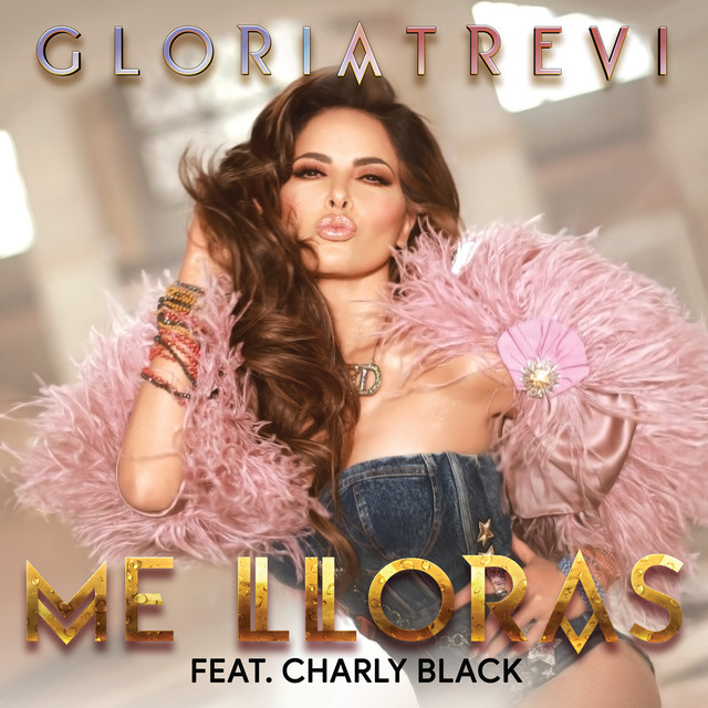 Me Lloras cover
