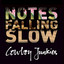 Notes Falling Slow cover