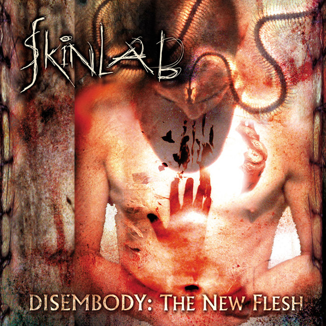 Disembody - The New Flesh cover