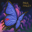 The Butterfly Albumcover
