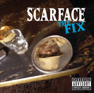 The Fix cover