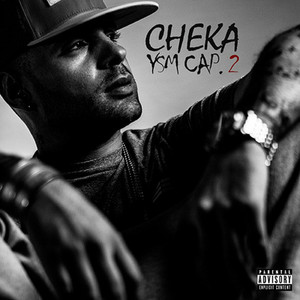 YSM, Cap. 2 cover