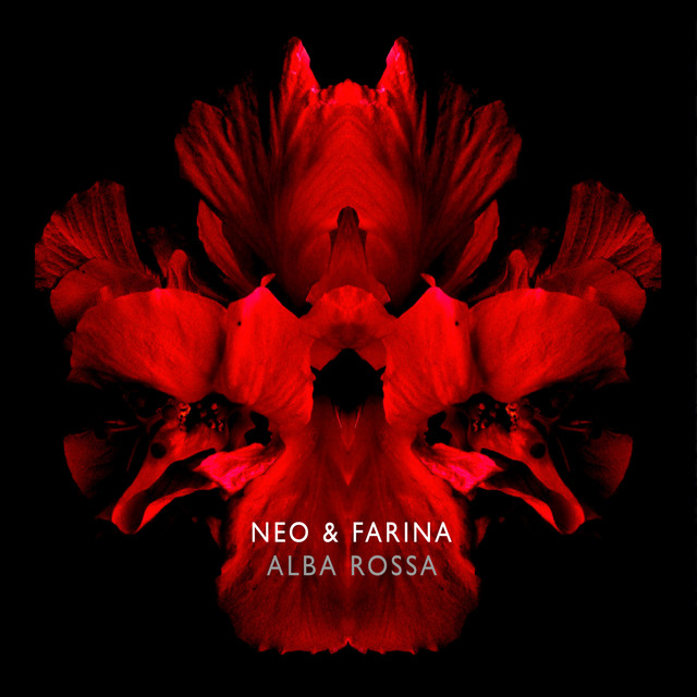 Neo & Farina Photo