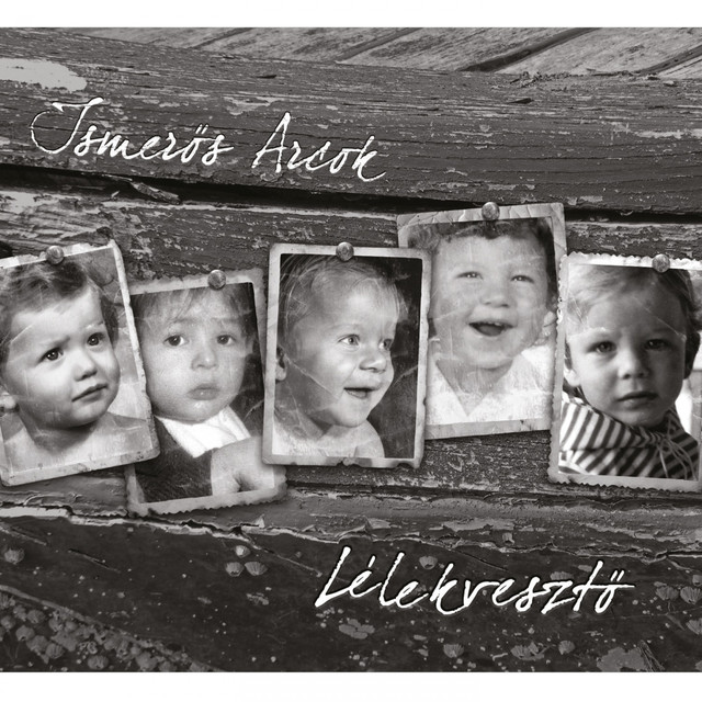 Lélekvesztő cover