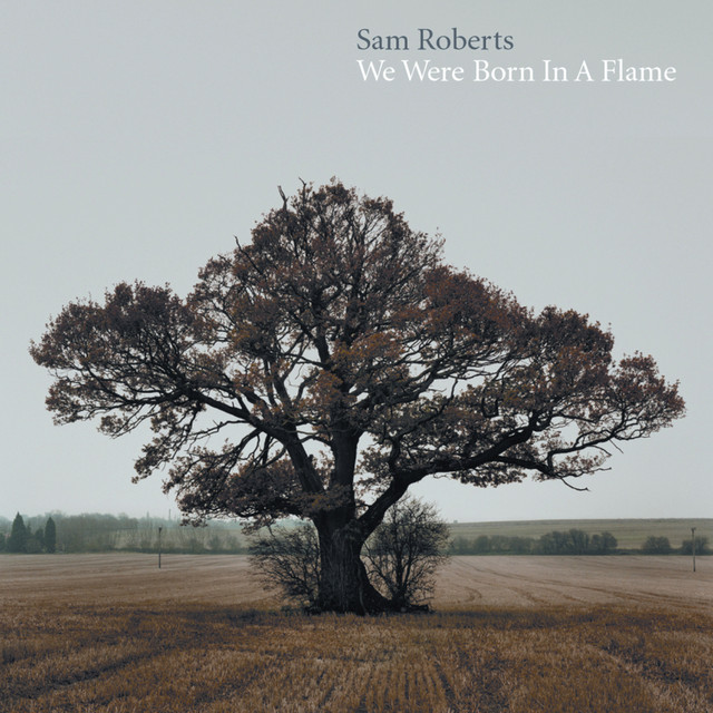 We Were Born In A Flame cover