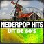 Nederpop Hits uit de 80's cover