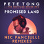 'Promised land (ft. Disciples) (Nic Fanciulli Vocal Remix)' - Pete Tong & The Heritage Orchestra