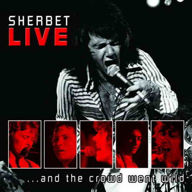 Live...and The Crowd Went Wild cover