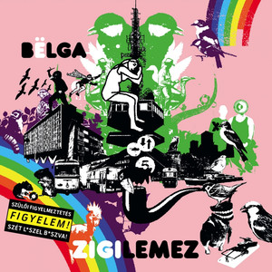 Zigilemez cover