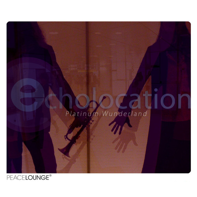 Echolocation Photo