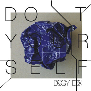 Do it Yourself cover