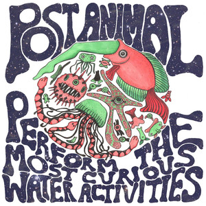 Perform the Most Curious Water Activities cover