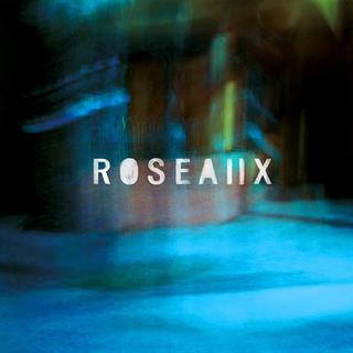 Roseaux Photo