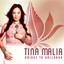 Bridge to Vallabha cover