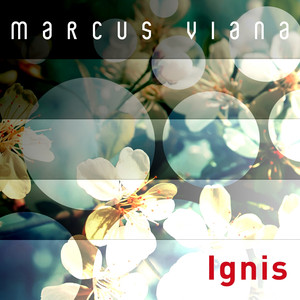 Ignis album