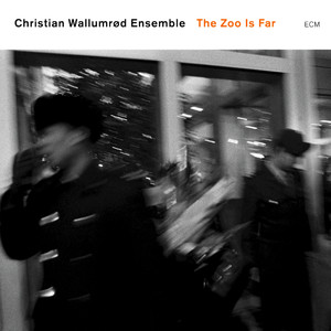 The Zoo Is Far cover