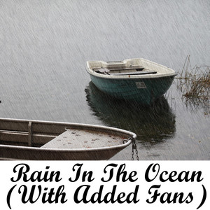 Rain In The Ocean With Added Fans album