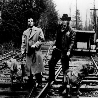 Stars Of The Lid poster