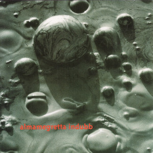 Indubb album