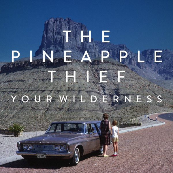 Your Wilderness cover