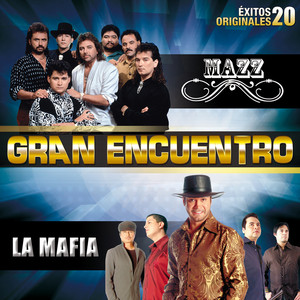Gran Encuentro (20 Éxitos Originales) album