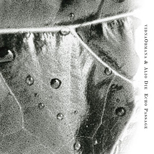 Echo Passage cover