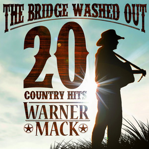 The Bridge Washed Out - 20 Country Hits cover