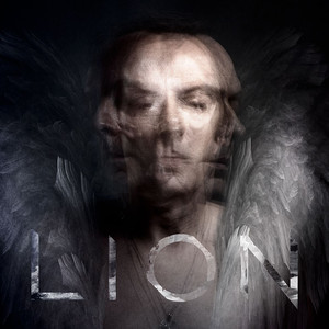 Lion cover