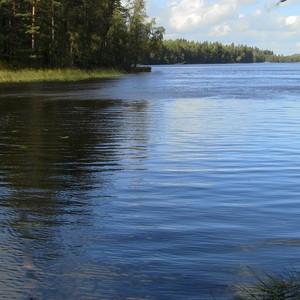 Olle L&ouml;whagen