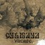 Vacare Albumcover