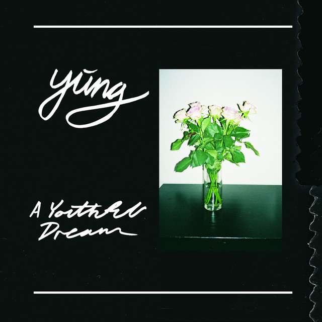 A Youthful Dream cover