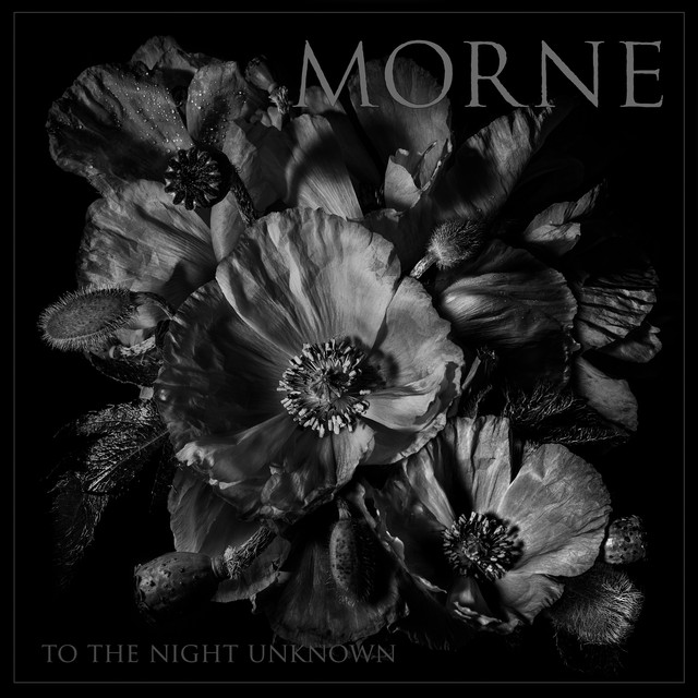 To The Night Unknown cover