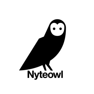 Nyteowl Photo