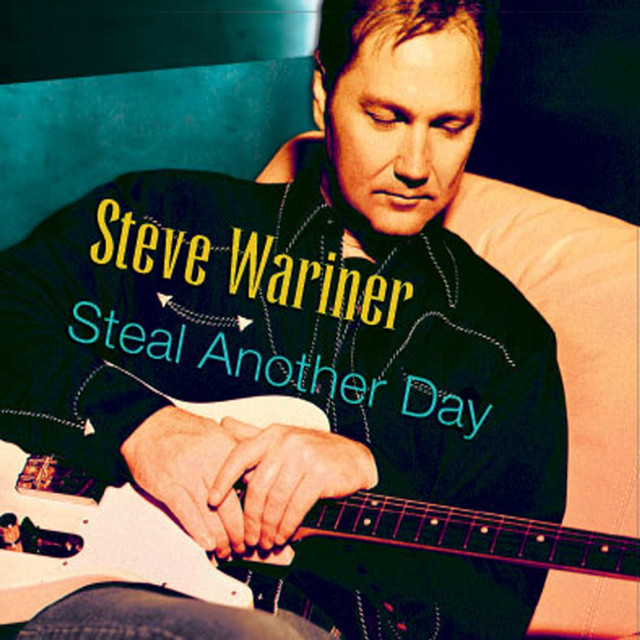 Steal Another Day cover