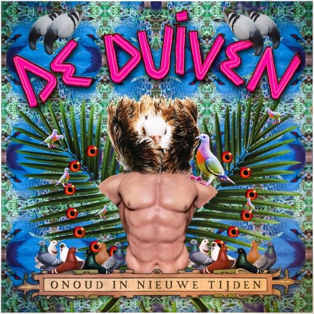 De Duiven Photo