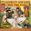Rare Bird Alert cover