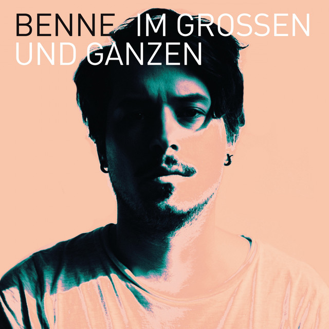 Im Großen Und Ganzen cover