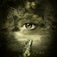 Core cover