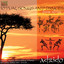 Adzido: Ritual Songs and Dances From Africa Albumcover